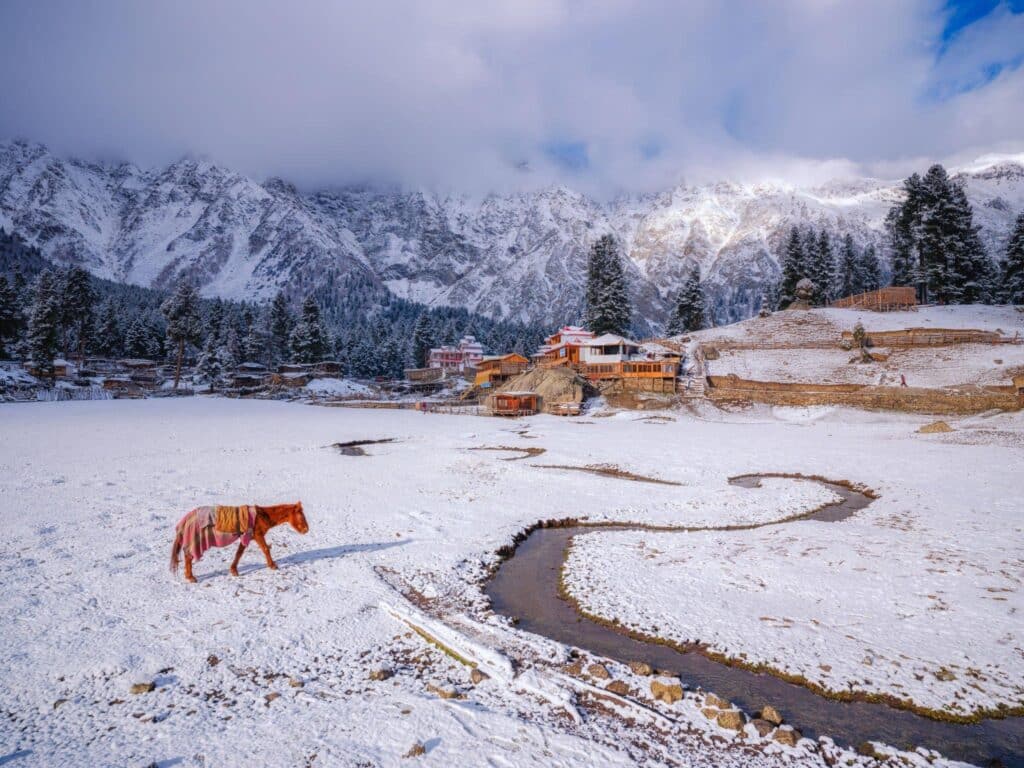 weather - fairy-meadows-gilgit-baltistan-winters-pakistan-tours