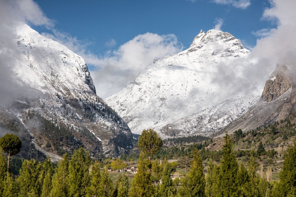 basho-valley-forest-pakistan-tours